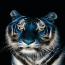 Abstract Tiger Live Wallpaper