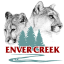 Enver Creek 2 Go Icon