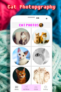 Cat Photography Coloring Book - Color By Number screenshot 5