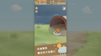 口袋烏龜 screenshot 2