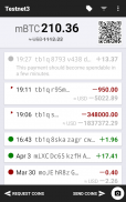 Testnet Wallet screenshot 2