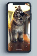 बिल्ली का बच्चा वॉलपेपर screenshot 7