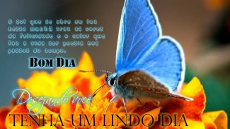 Download Mensagens Bom diaBoa tardeBoa Noite Free for Android - Mensagens  Bom diaBoa tardeBoa Noite APK Download 