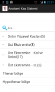 Anatomi Kas Sistemi screenshot 2