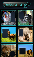 Funny Animals Photo Frames screenshot 0