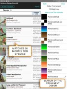 iBird UK Lite Free Bird Guide screenshot 8