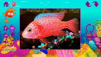 Puzzles fish screenshot 7