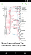 Anatomy & Physiology Textbook screenshot 2