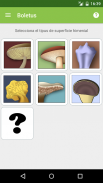 Boletus Lite - mushrooms screenshot 7