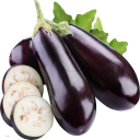 Brinjal-IFC Icon