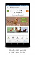 BirdNET: Identificação de sons de aves screenshot 5