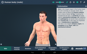 Menselijk lichaam 3D screenshot 15