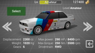 Rally Legends screenshot 6