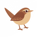 Birder.AI - The Bird Sound Ide