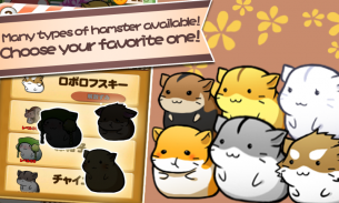 Hamster Life - APK Download for Android