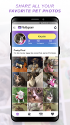 Fluffygram - All Pets, All The Time screenshot 1