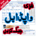 Electricity Bill Checker Icon