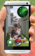 Pocket Kitten Cats GO screenshot 1