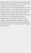 Sea Almond Tree screenshot 5