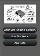 Auto Engine Sensor Info screenshot 0