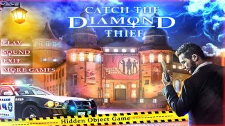 Hidden Objects Diamond Thief screenshot 1