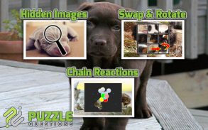 Free Cute Puppy Puzzle Games screenshot 3