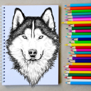 How to Draw Wolf Step by Step