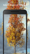 الخريف القيقب خلفية متحركة screenshot 3