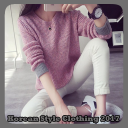 Korean Style Clothing 2017 Icon