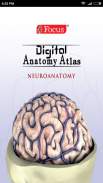 NEUROANATOMY - Digital Atlas screenshot 0