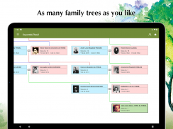 Family Tree Explorer Viewer screenshot 5