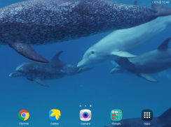 Дельфины Живые Обои screenshot 11