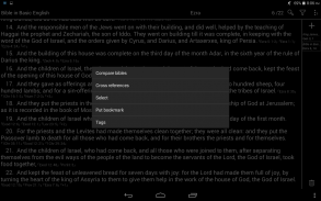 Bible - Offline translations screenshot 4