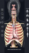 Respiratory System Anatomy screenshot 13