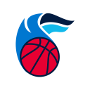 Basket Jump Icon