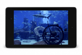 Aquarium Video Live Wallpaper screenshot 9