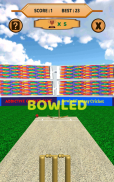 Bowled 3D - Cricket Game screenshot 9
