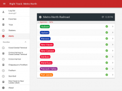 Right Track: Metro North screenshot 1
