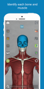 Corporis Anatomy | Interactive 3D Human Body Atlas screenshot 10