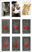 Rompecabezas de Gatos screenshot 1