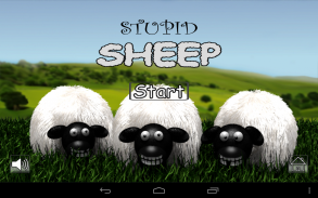 Stupid Sheep (free) screenshot 0