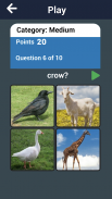 Learn Animals Names in English Pictures Words Quiz screenshot 7