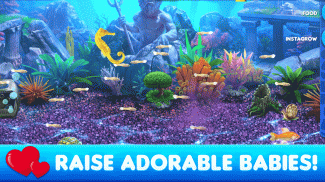 Fish Tycoon 2 Virtual Aquarium screenshot 11