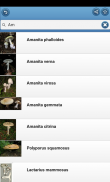 Cogumelos screenshot 4