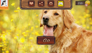 Golden Retriever Simulator screenshot 23