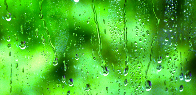 Rain Live Wallpaper