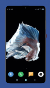 Betta Fish Wallpaper HD screenshot 12