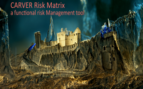 Carver Method - Risk Matrix screenshot 1