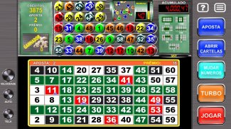 Video Bingo Mega Ball Flex screenshot 7