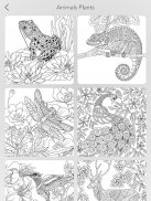 Garden Coloring Book screenshot 7